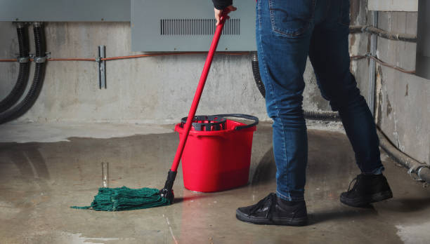 Best Water damage contractors near me  in Angwin, CA