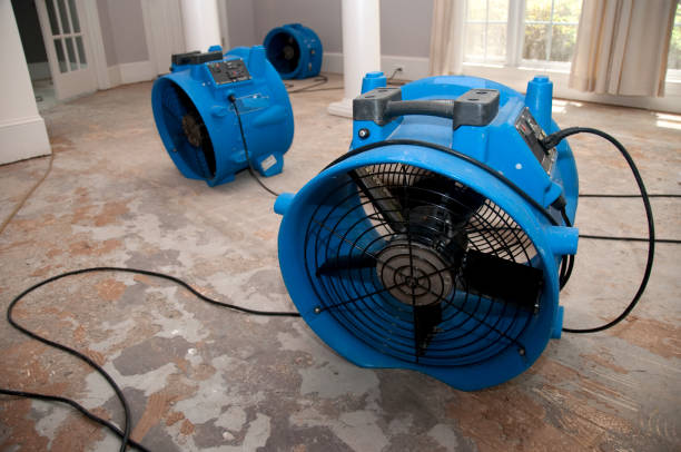 Best Flooded house restoration  in Angwin, CA