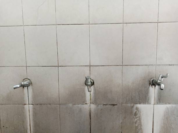 Best Flood restoration services  in Angwin, CA